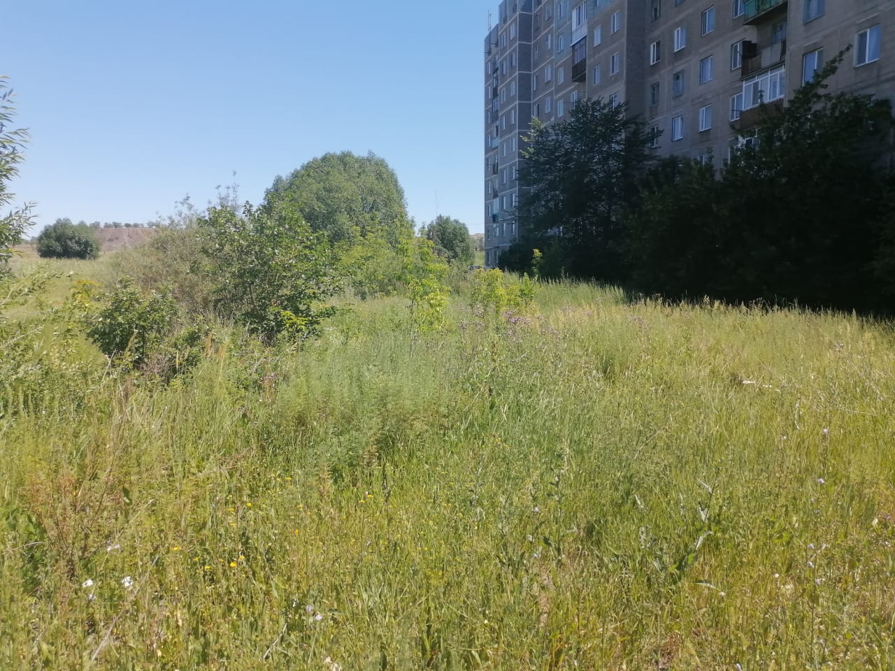 img-2