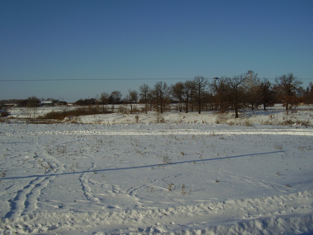 img-1