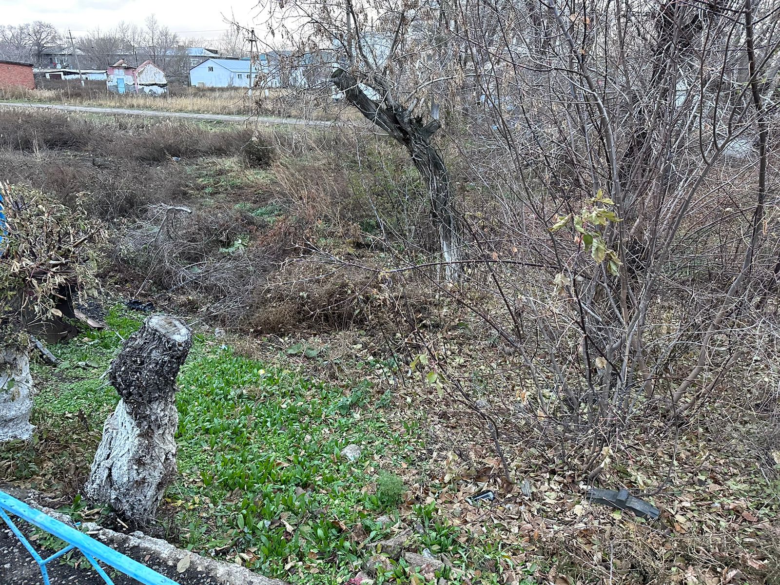 img-2