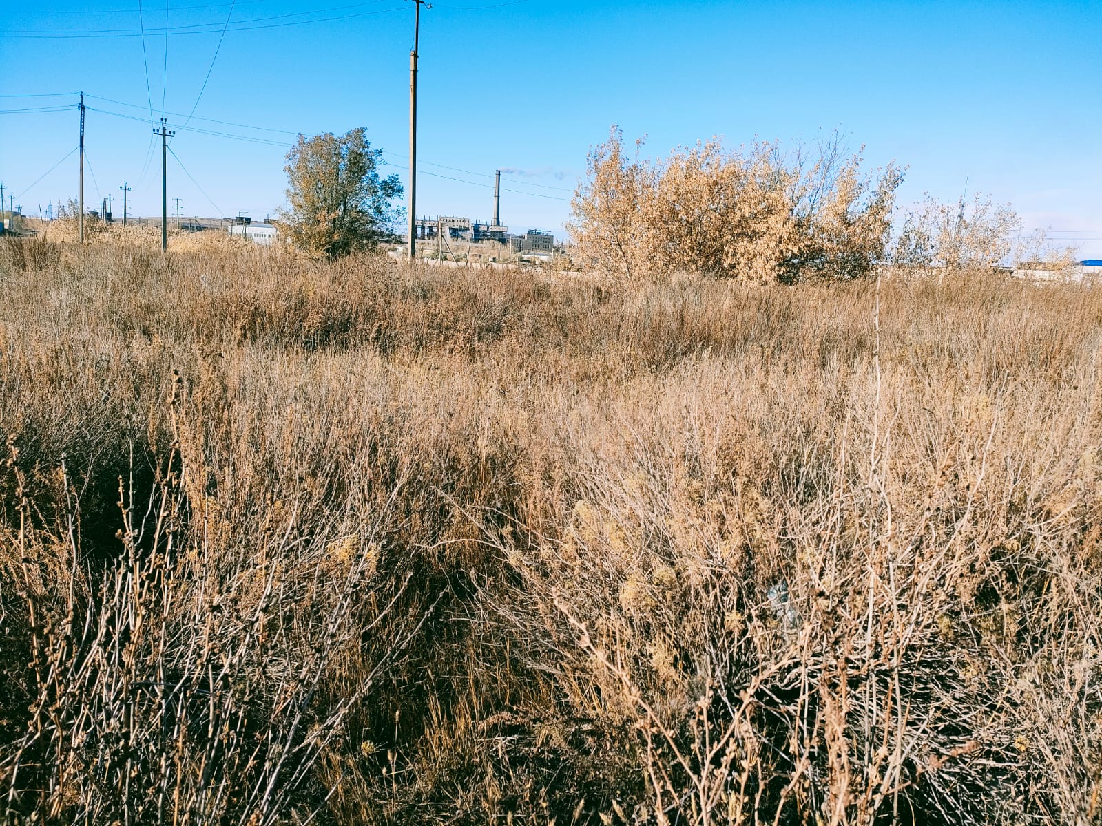 img-3