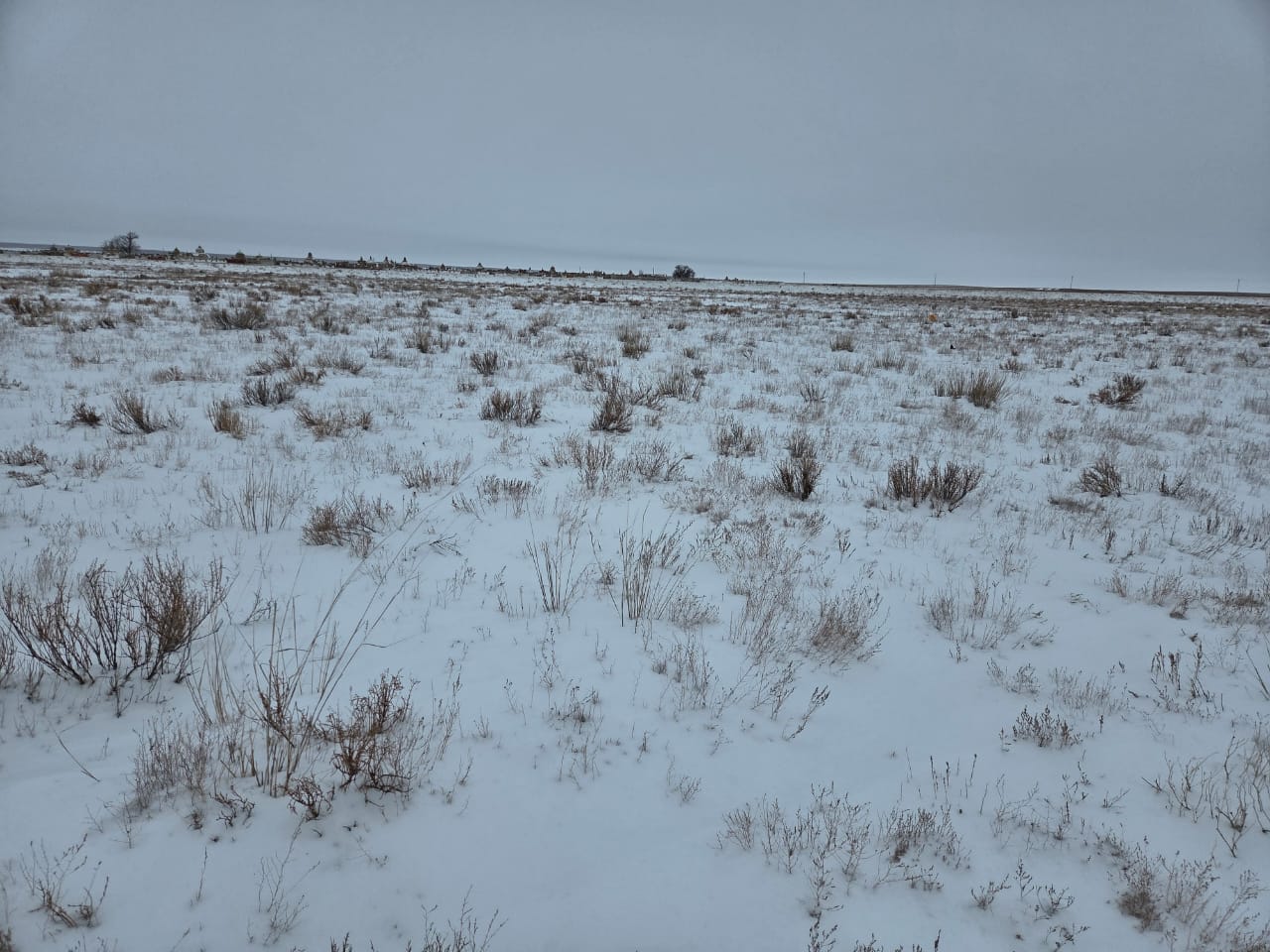 img-1