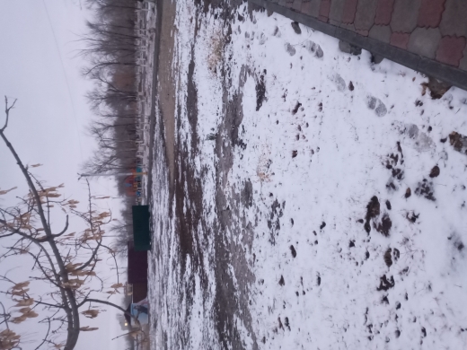 img-2