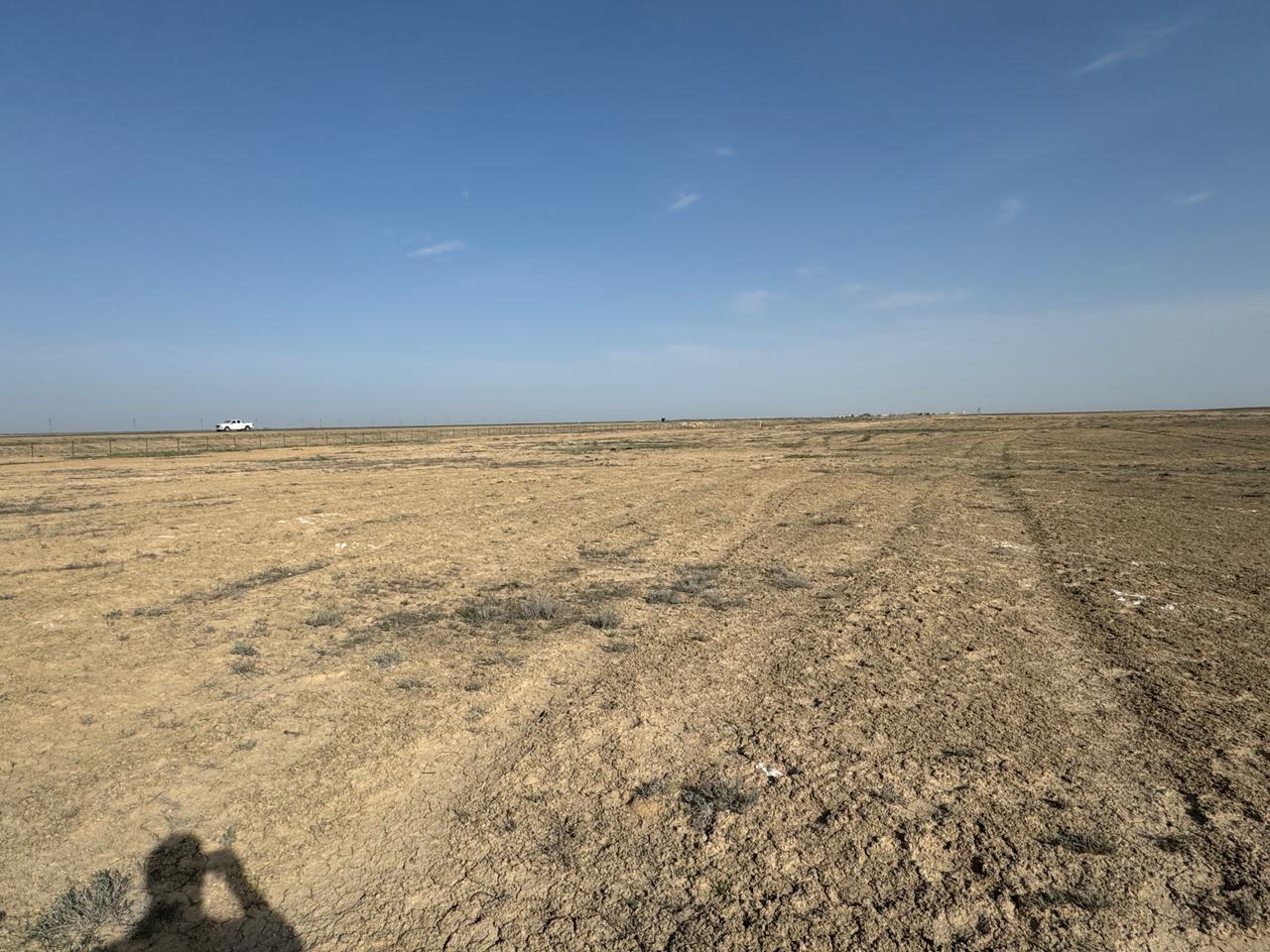 img-4