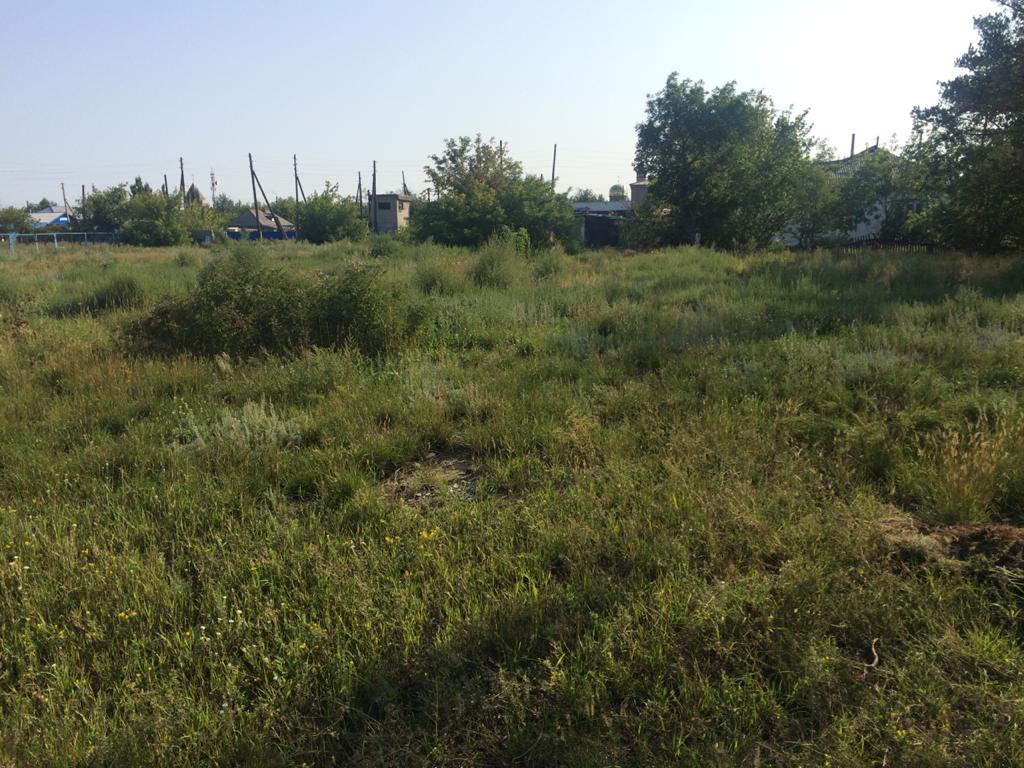 img-1