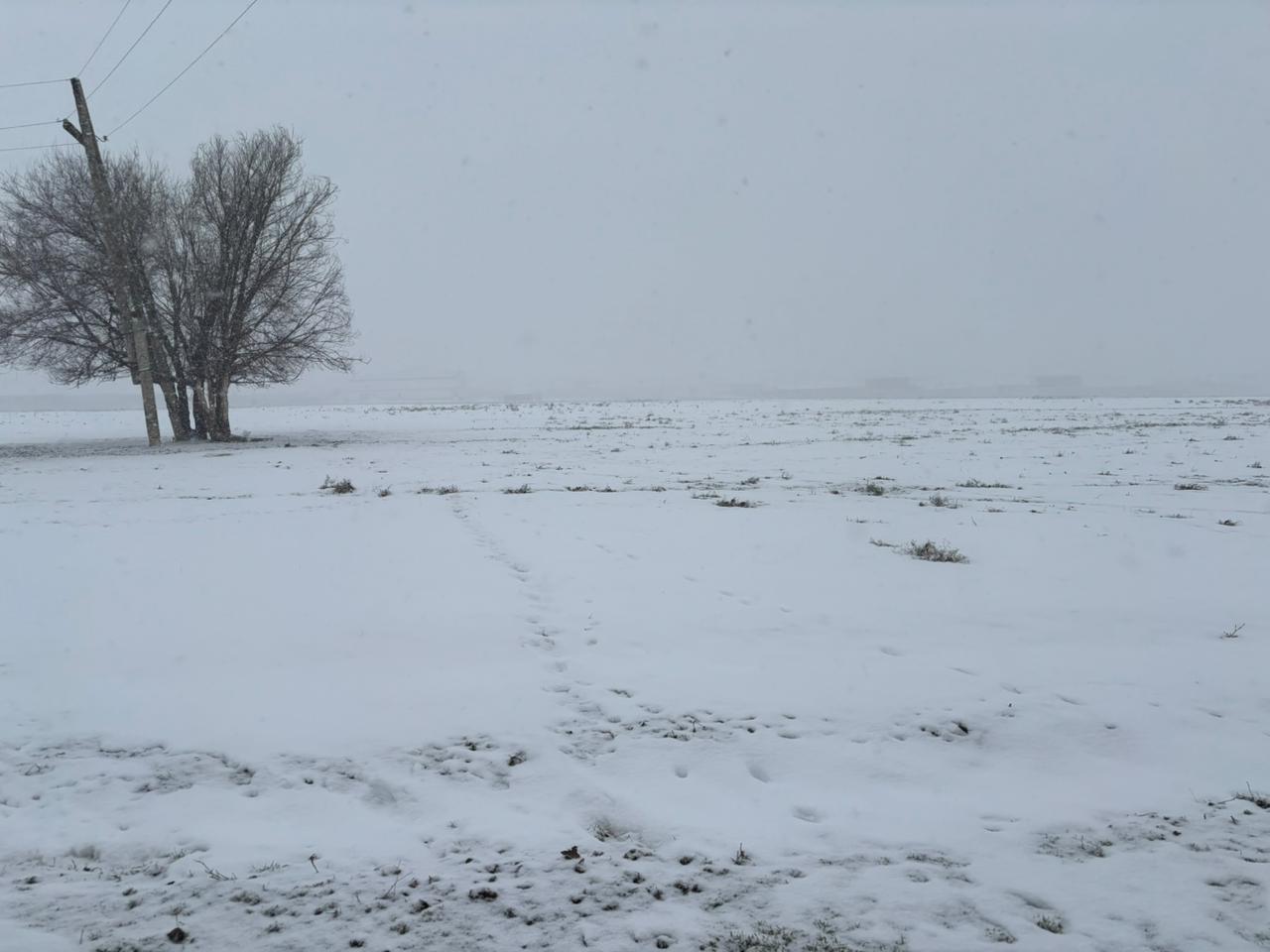 img-3