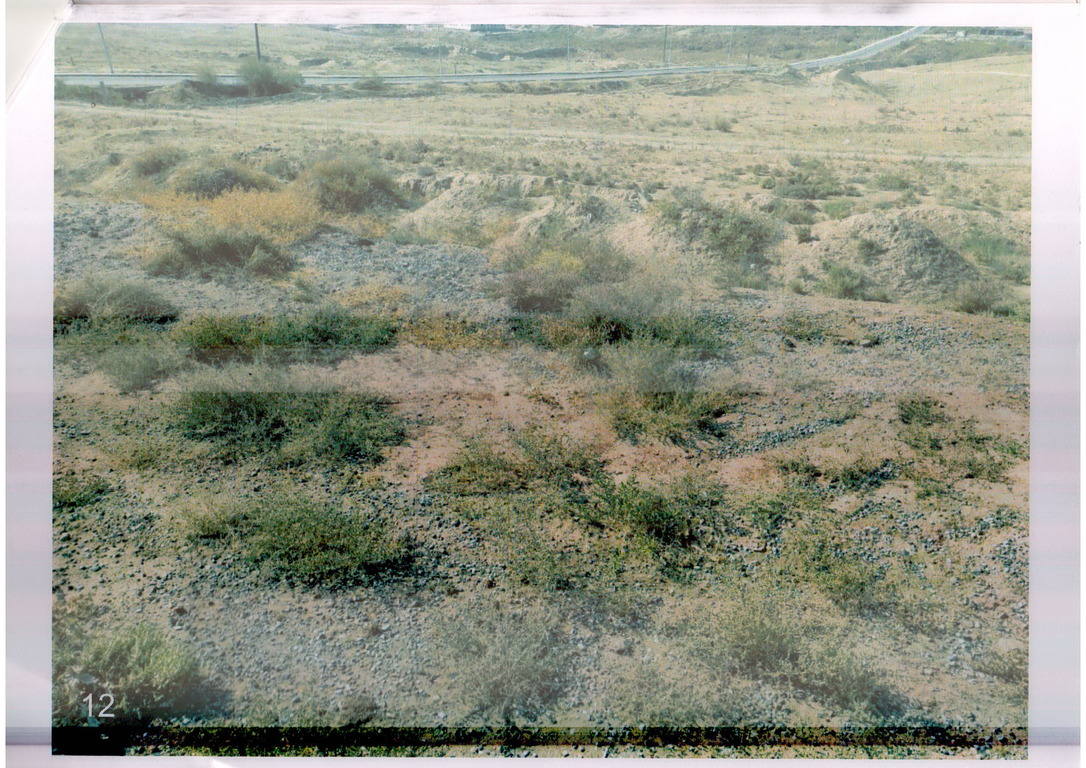 img-3