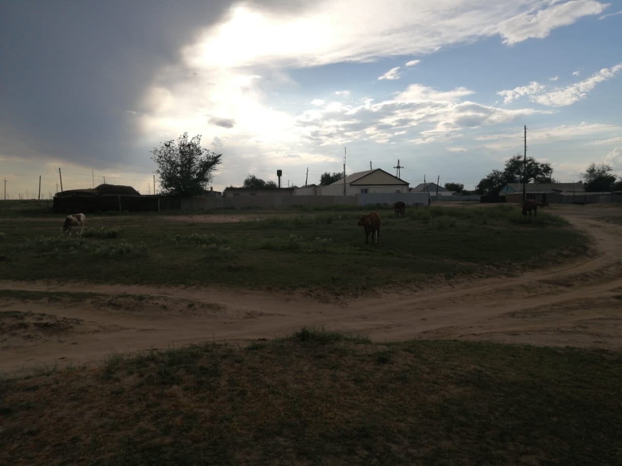 img-3