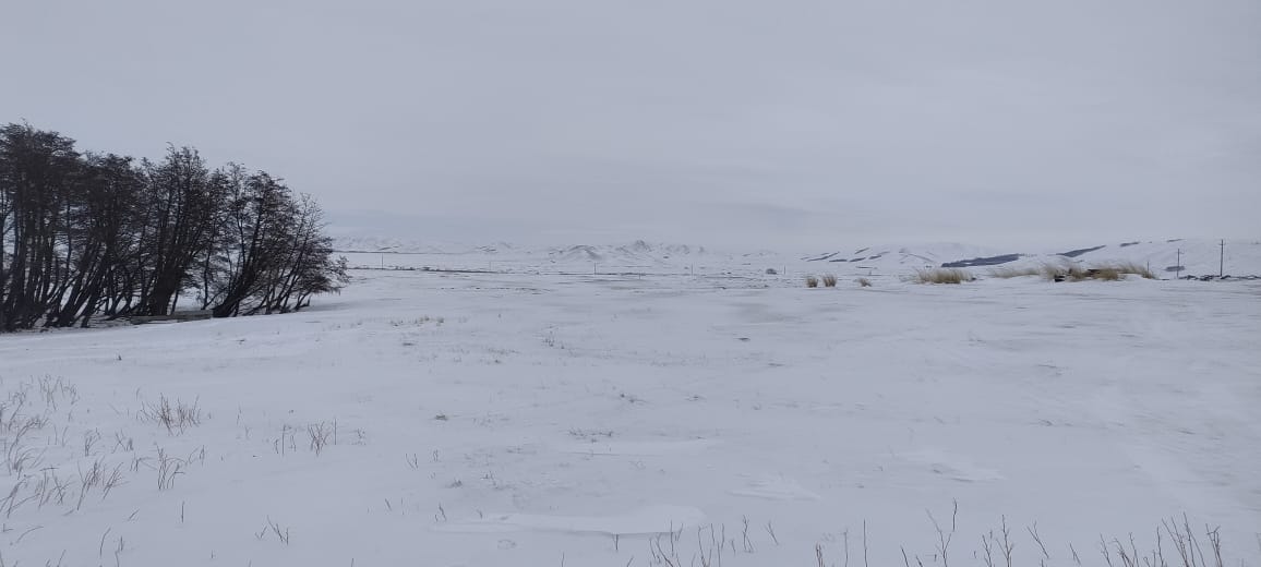 img-0