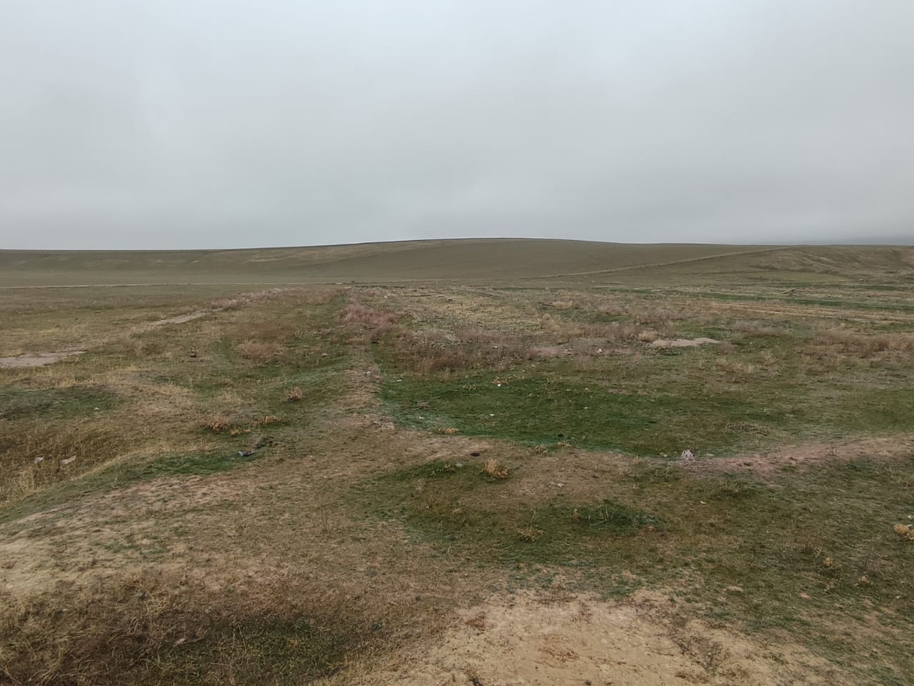 img-0