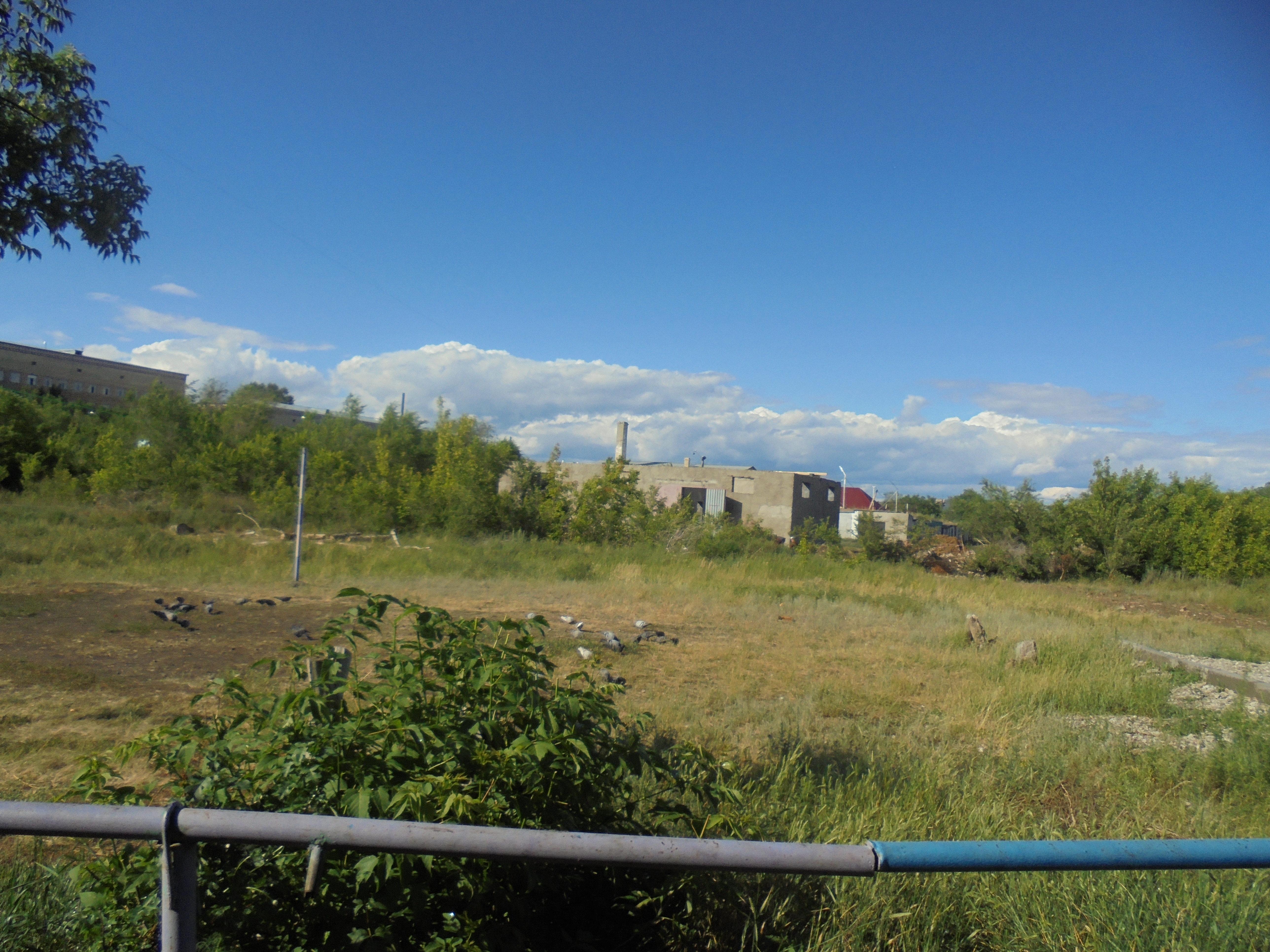 img-4