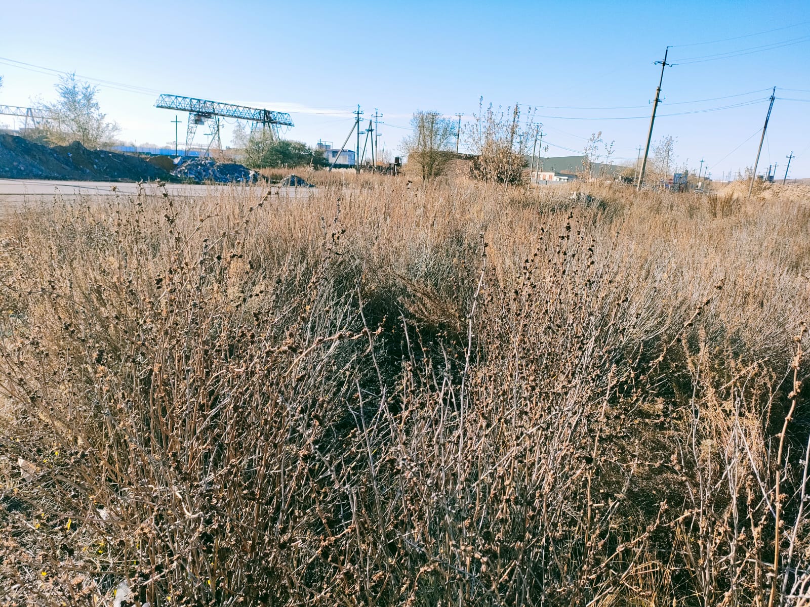 img-4