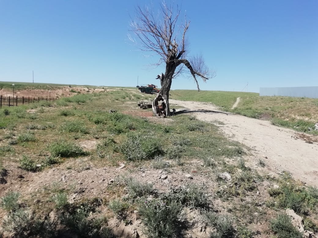 img-3