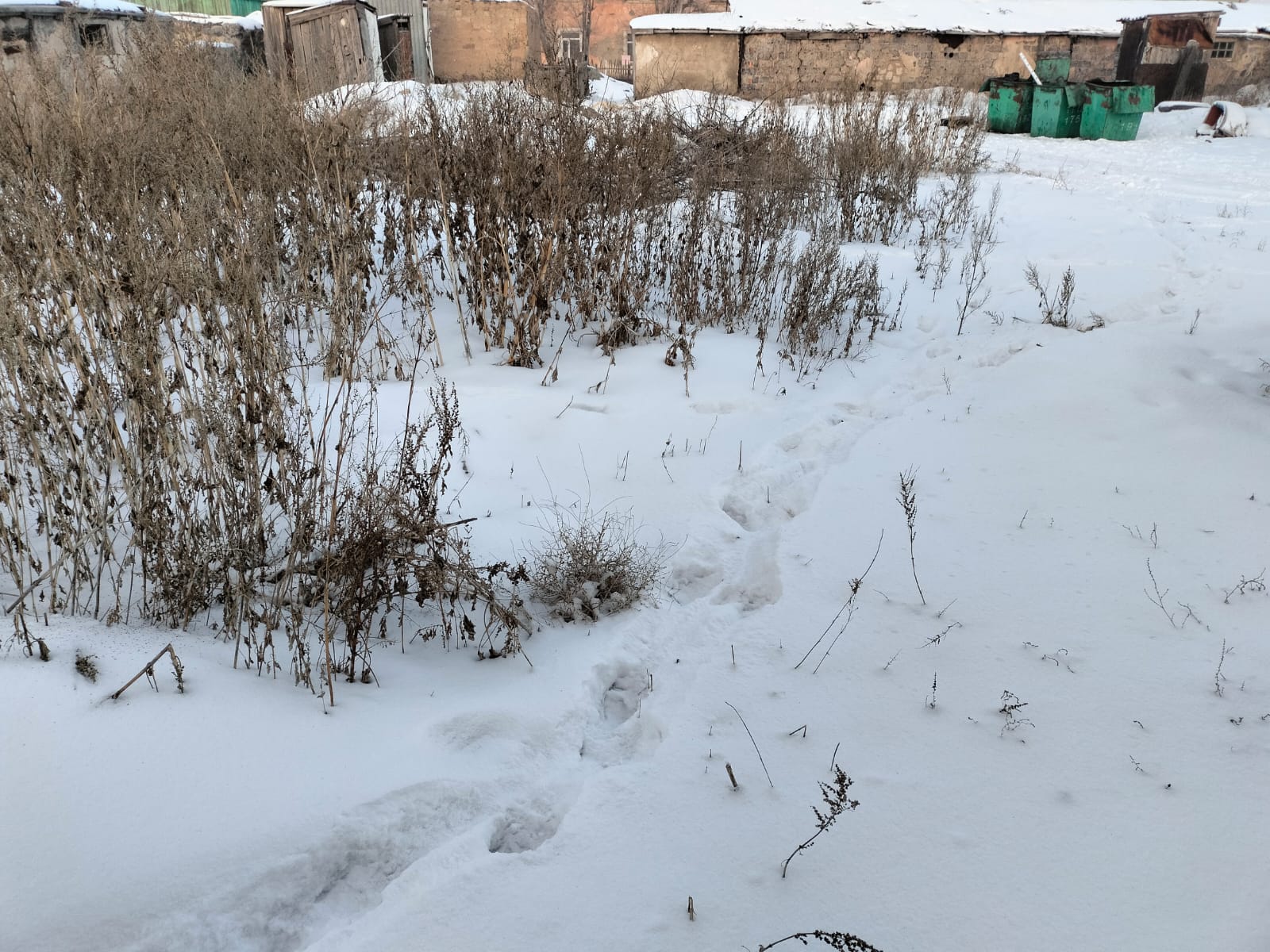 img-3
