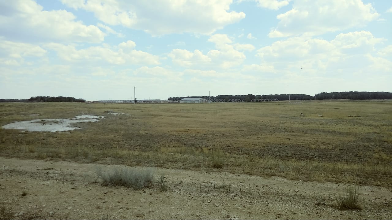 img-2