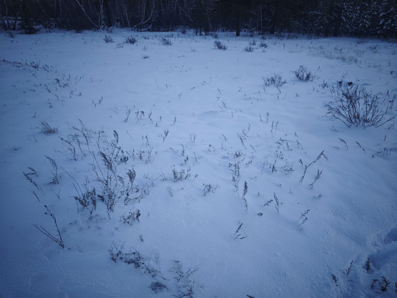 img-0