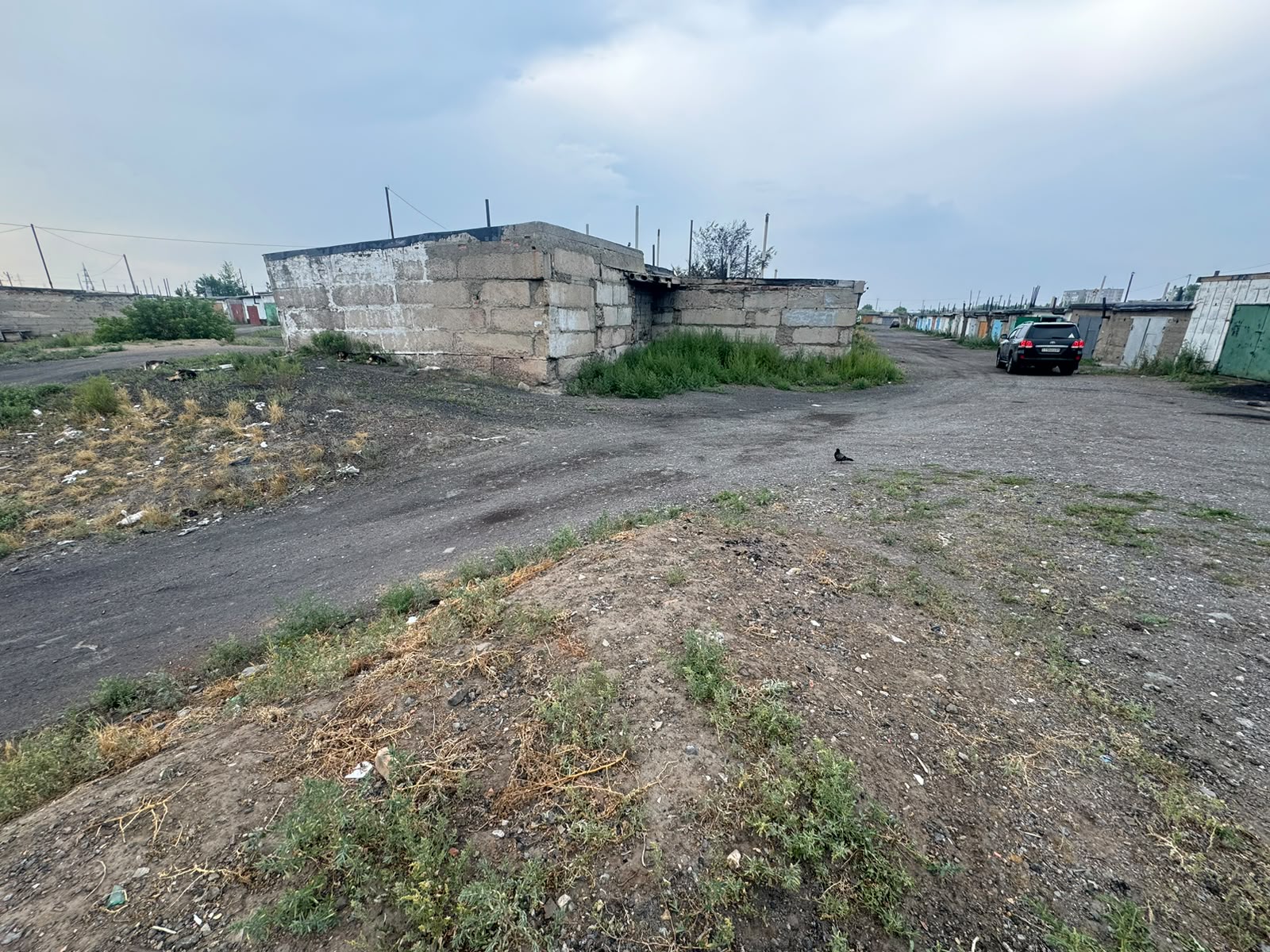img-5