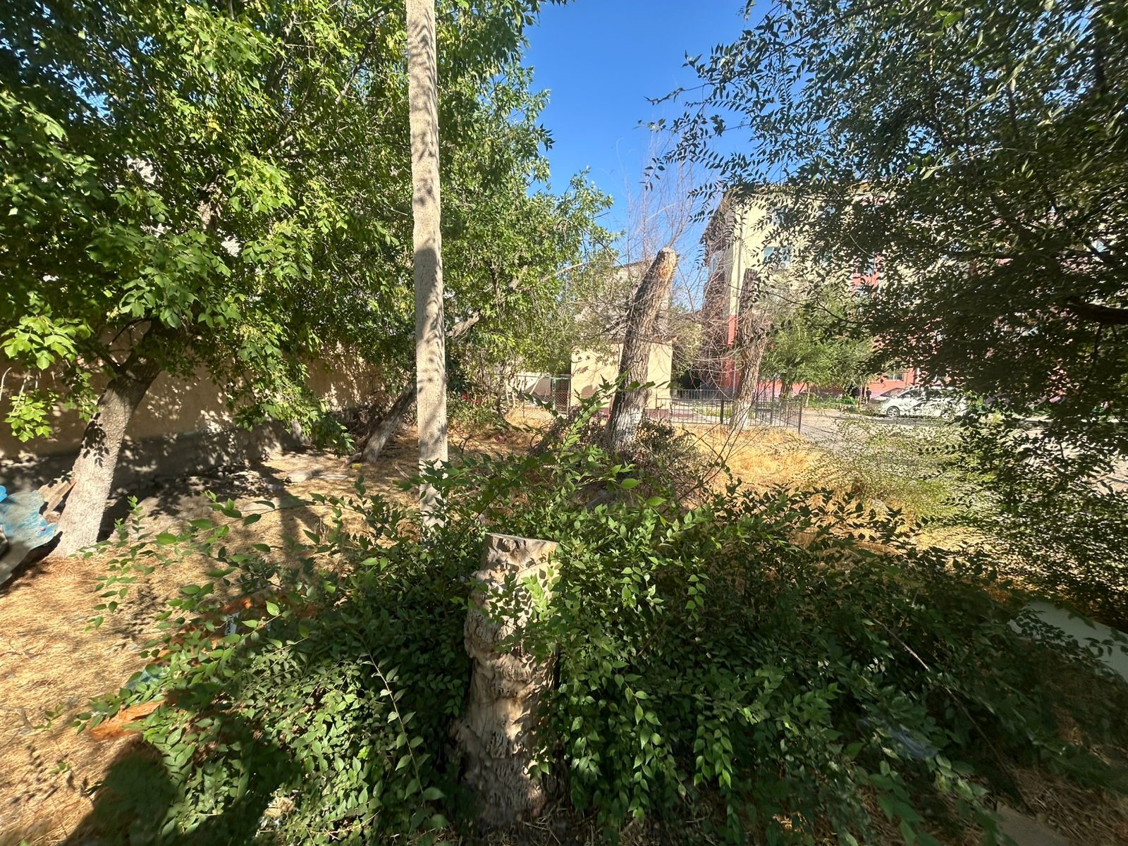 img-3