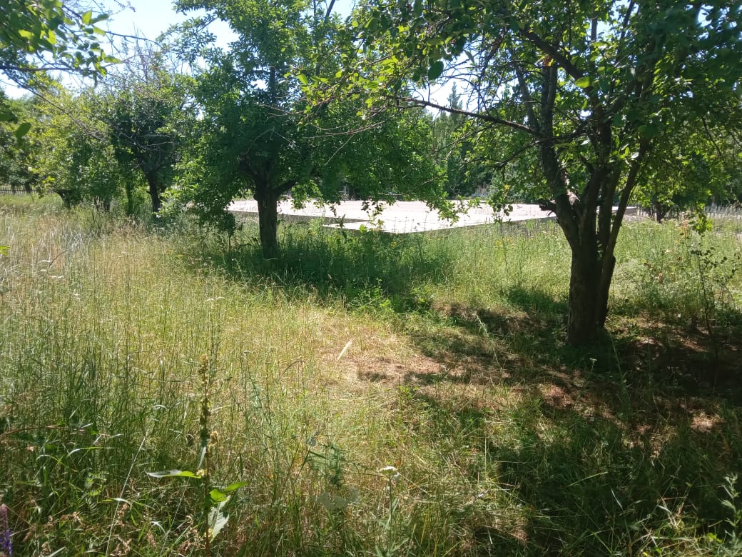img-4