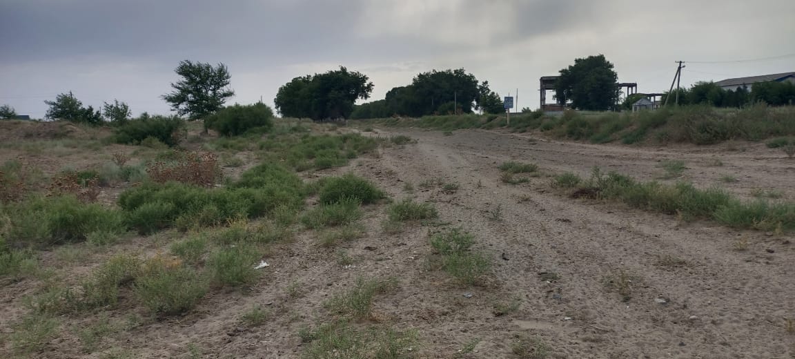 img-2
