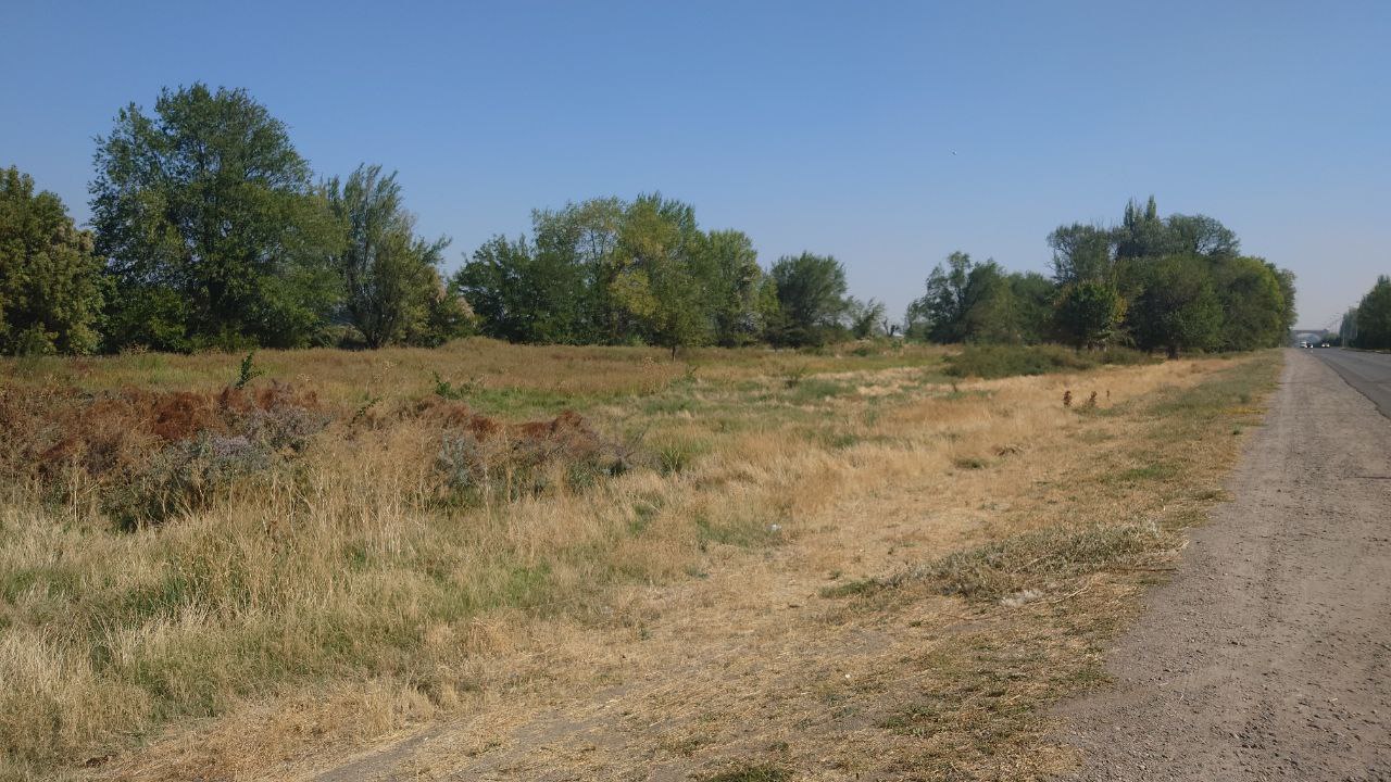 img-1