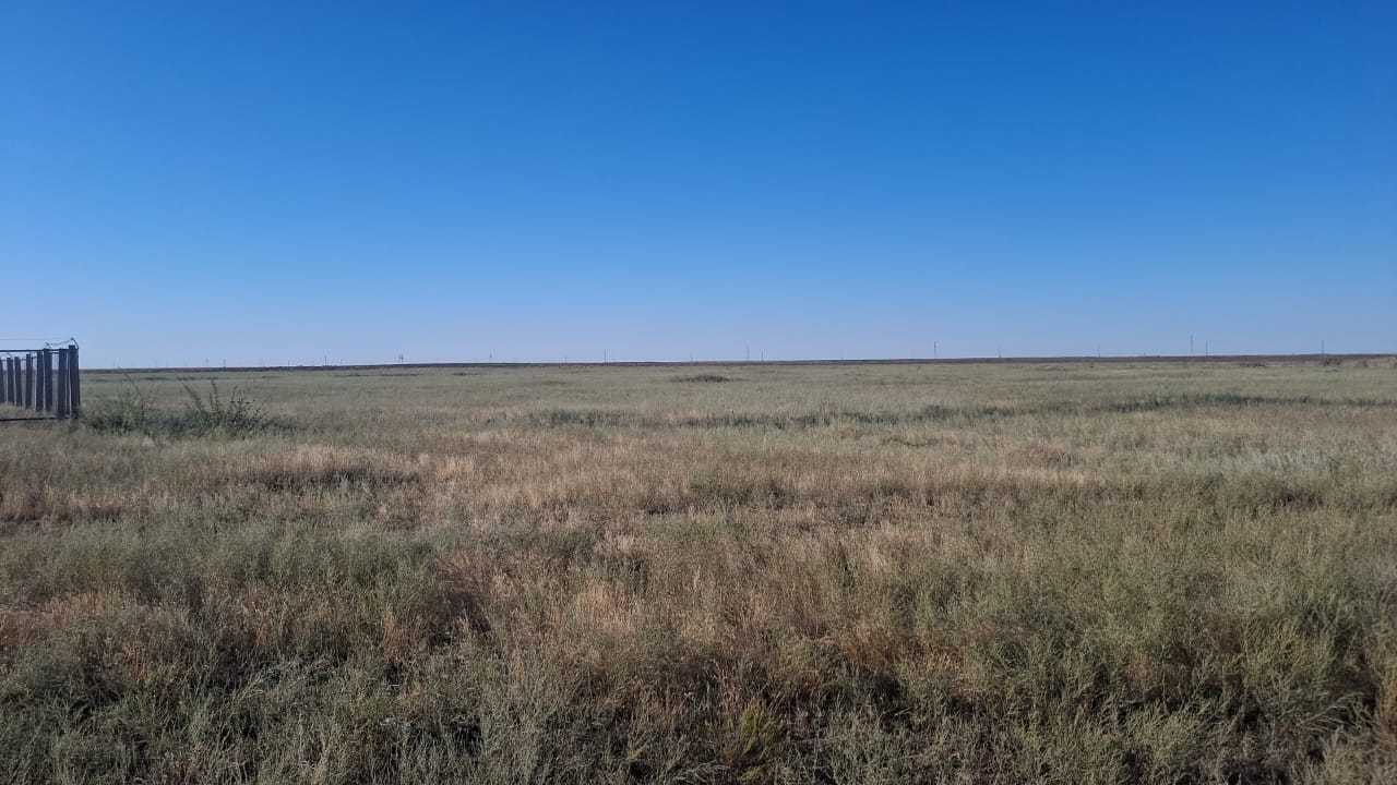 img-4