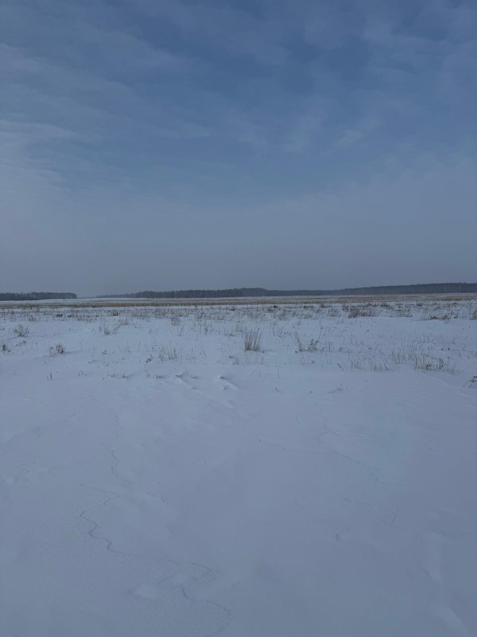 img-5