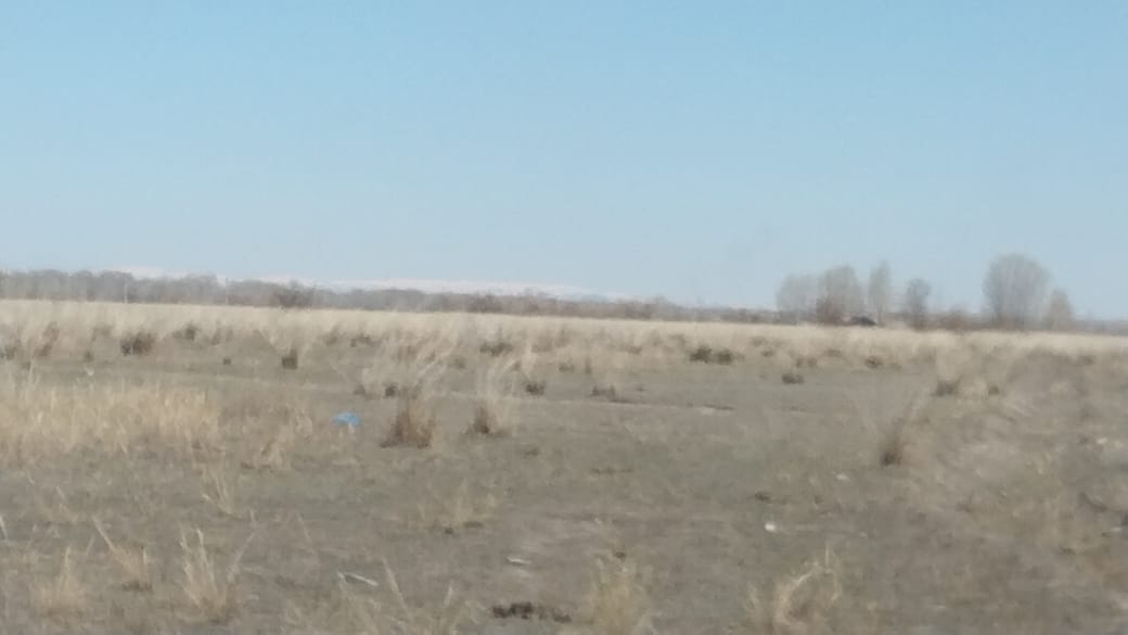 img-2