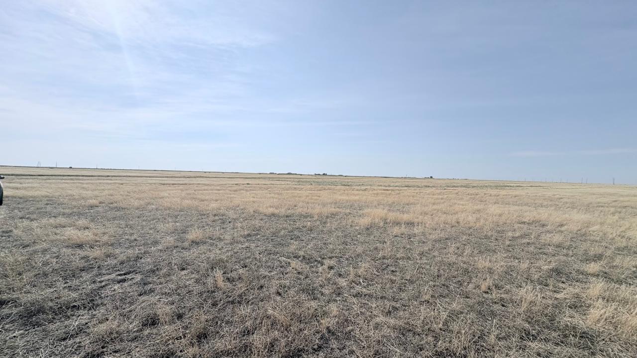img-1