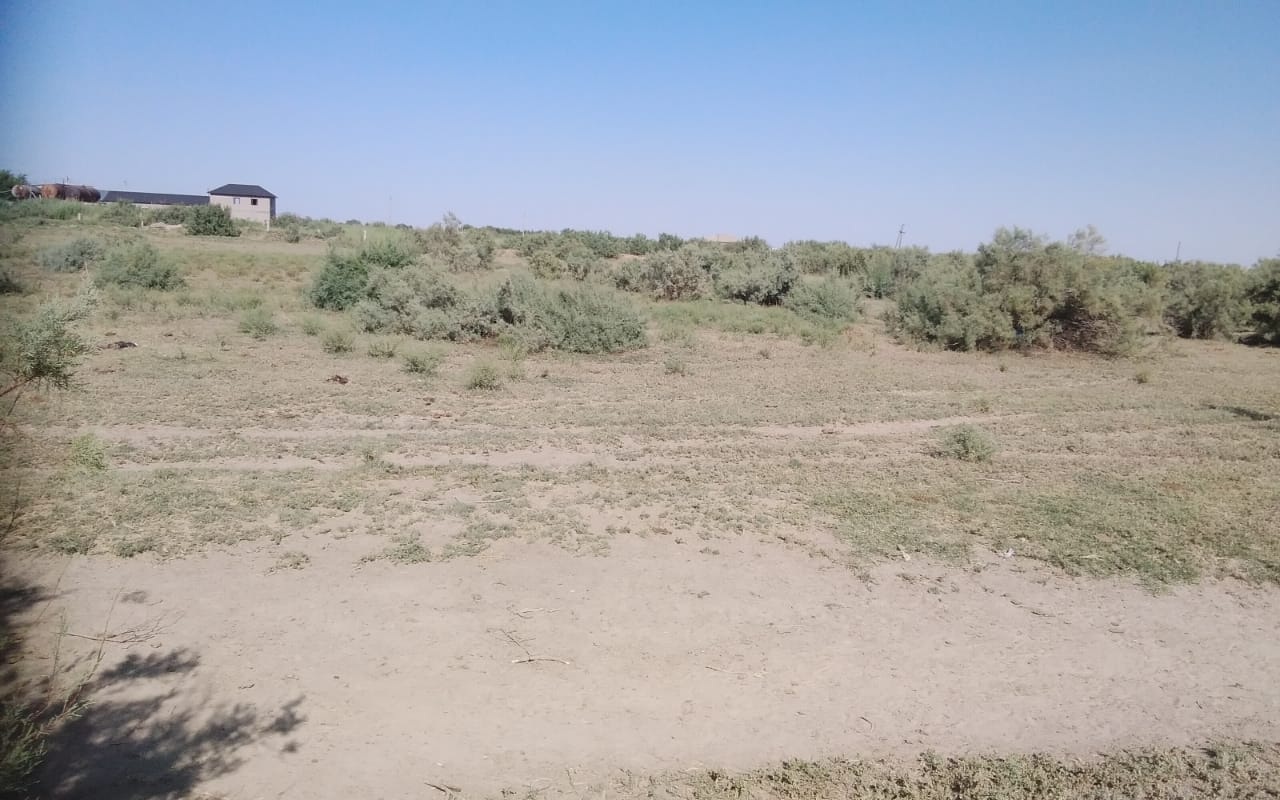 img-4
