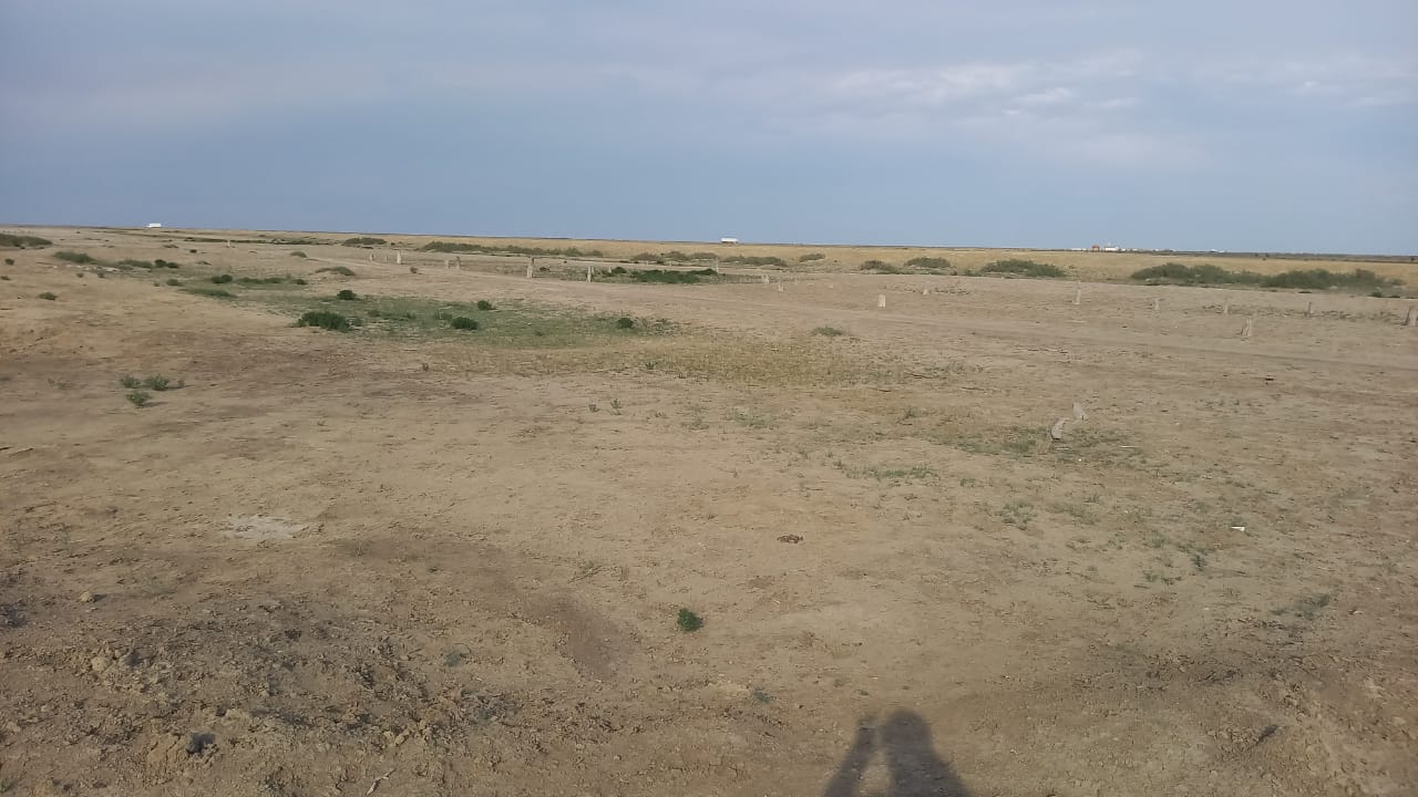 img-2