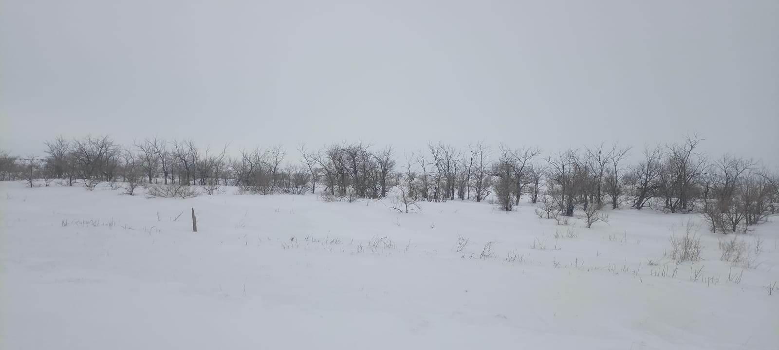 img-4