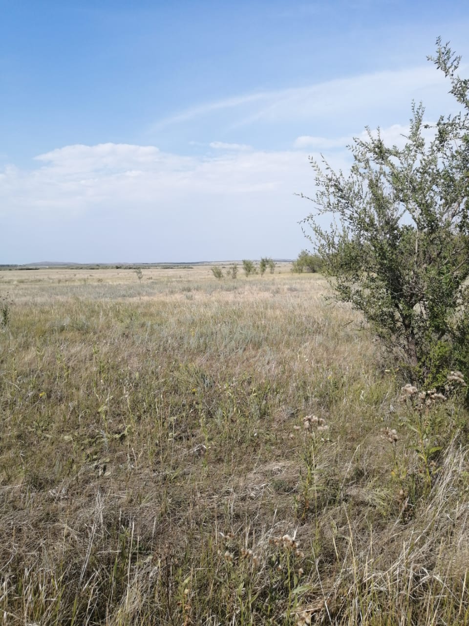 img-3