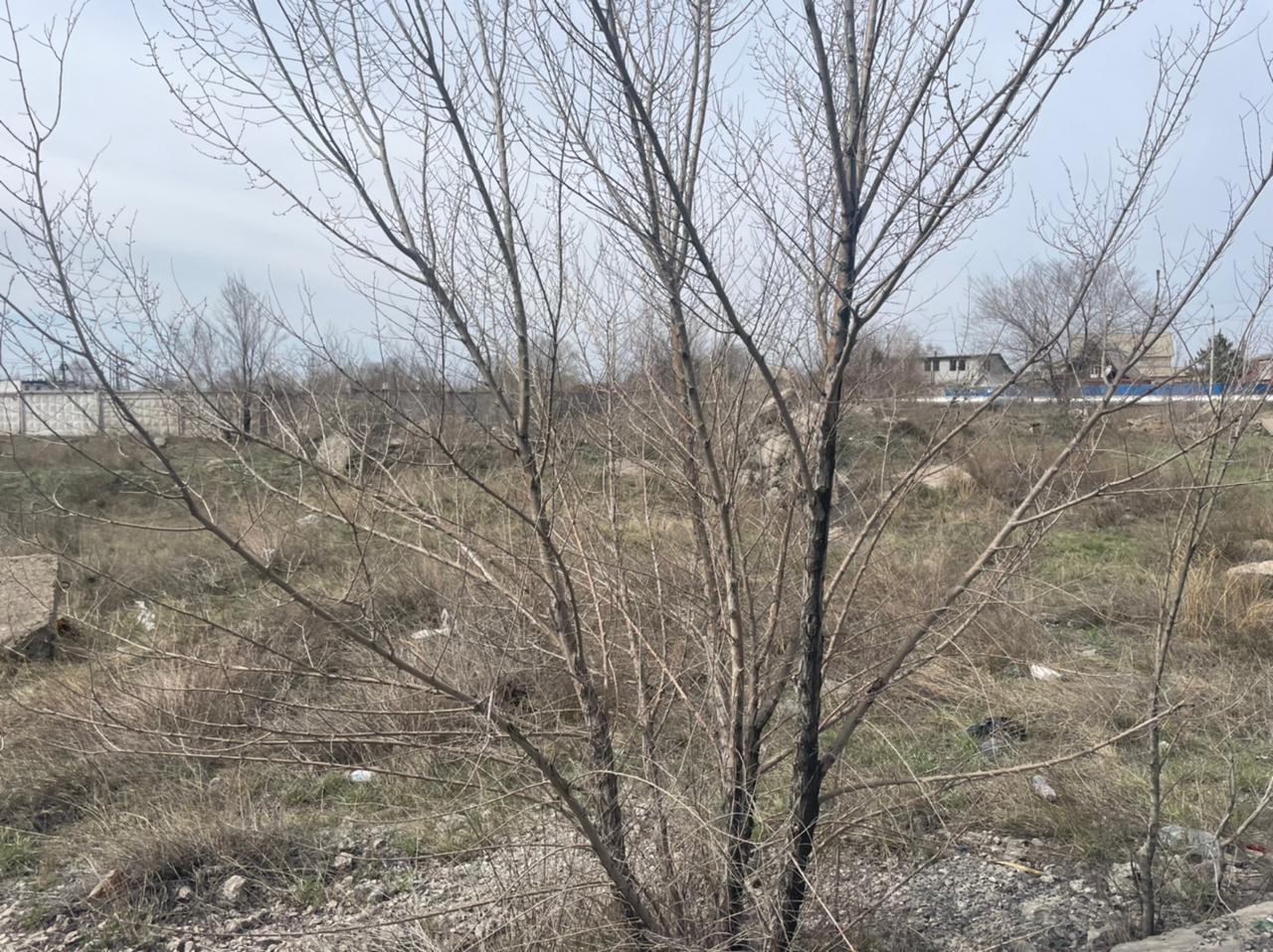 img-3