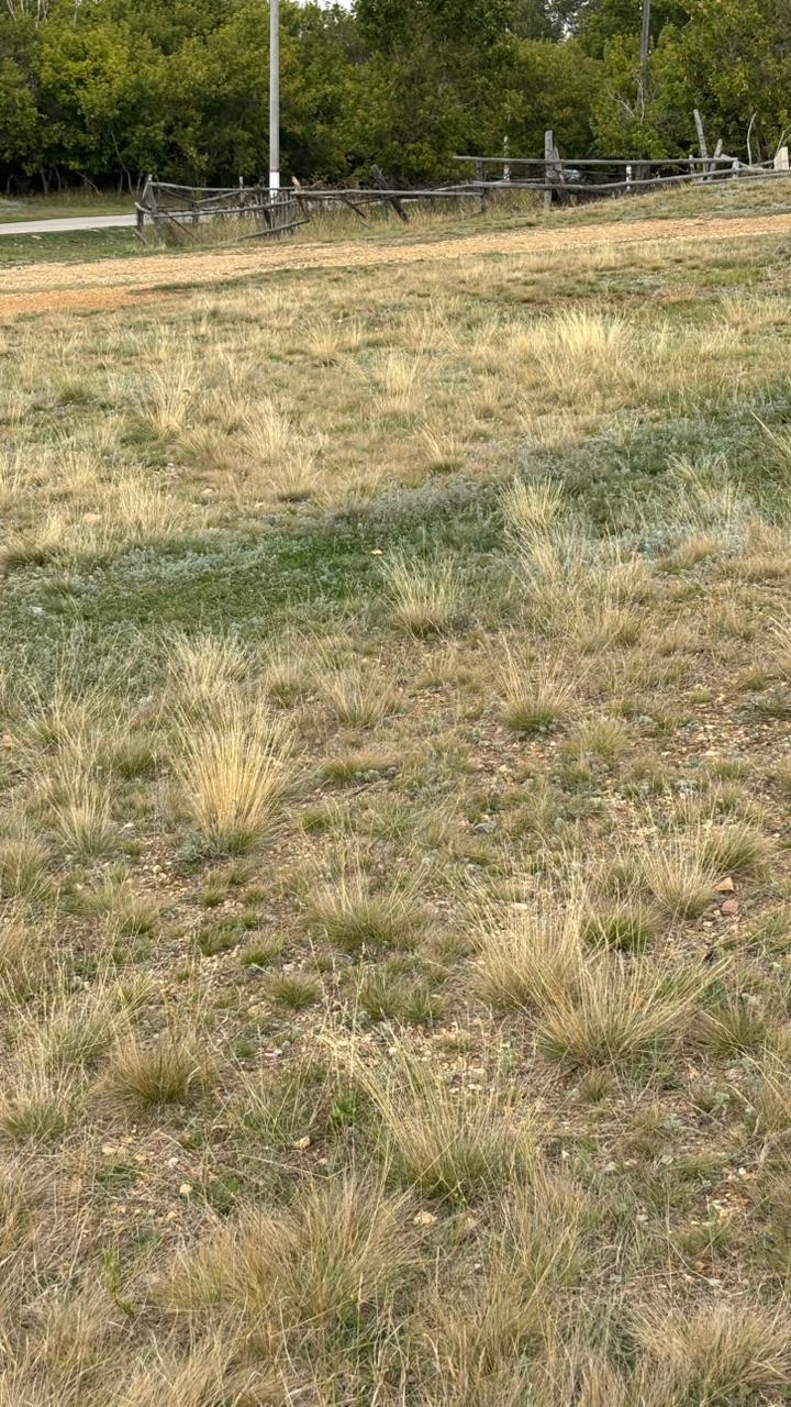 img-2