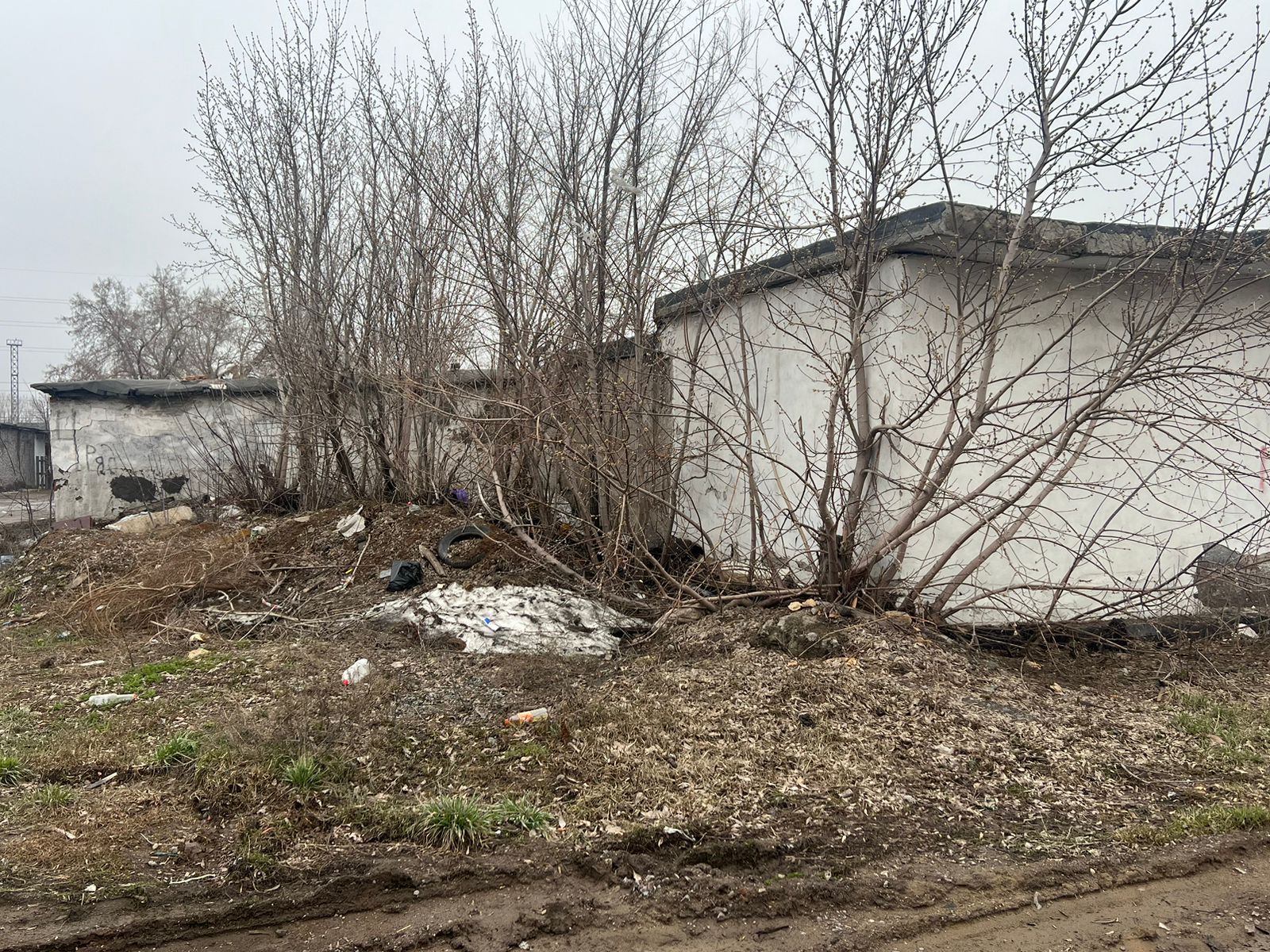 img-3