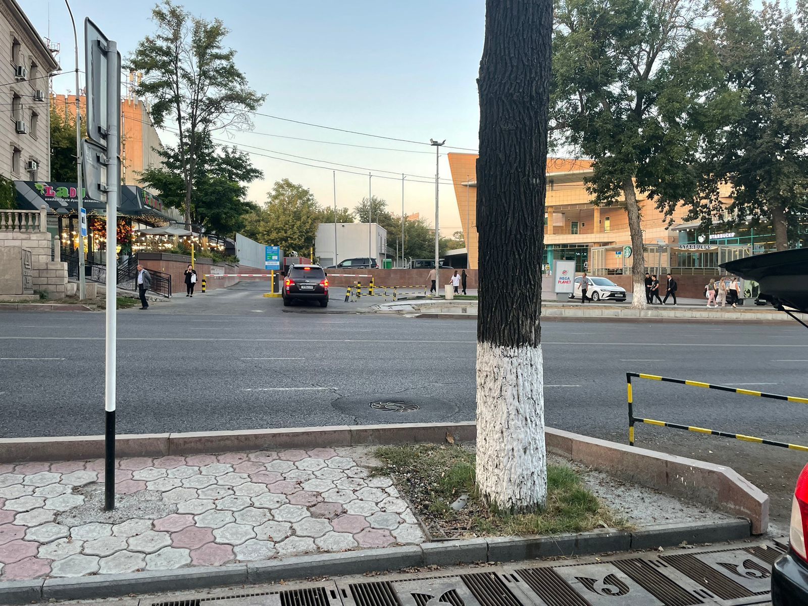 img-2