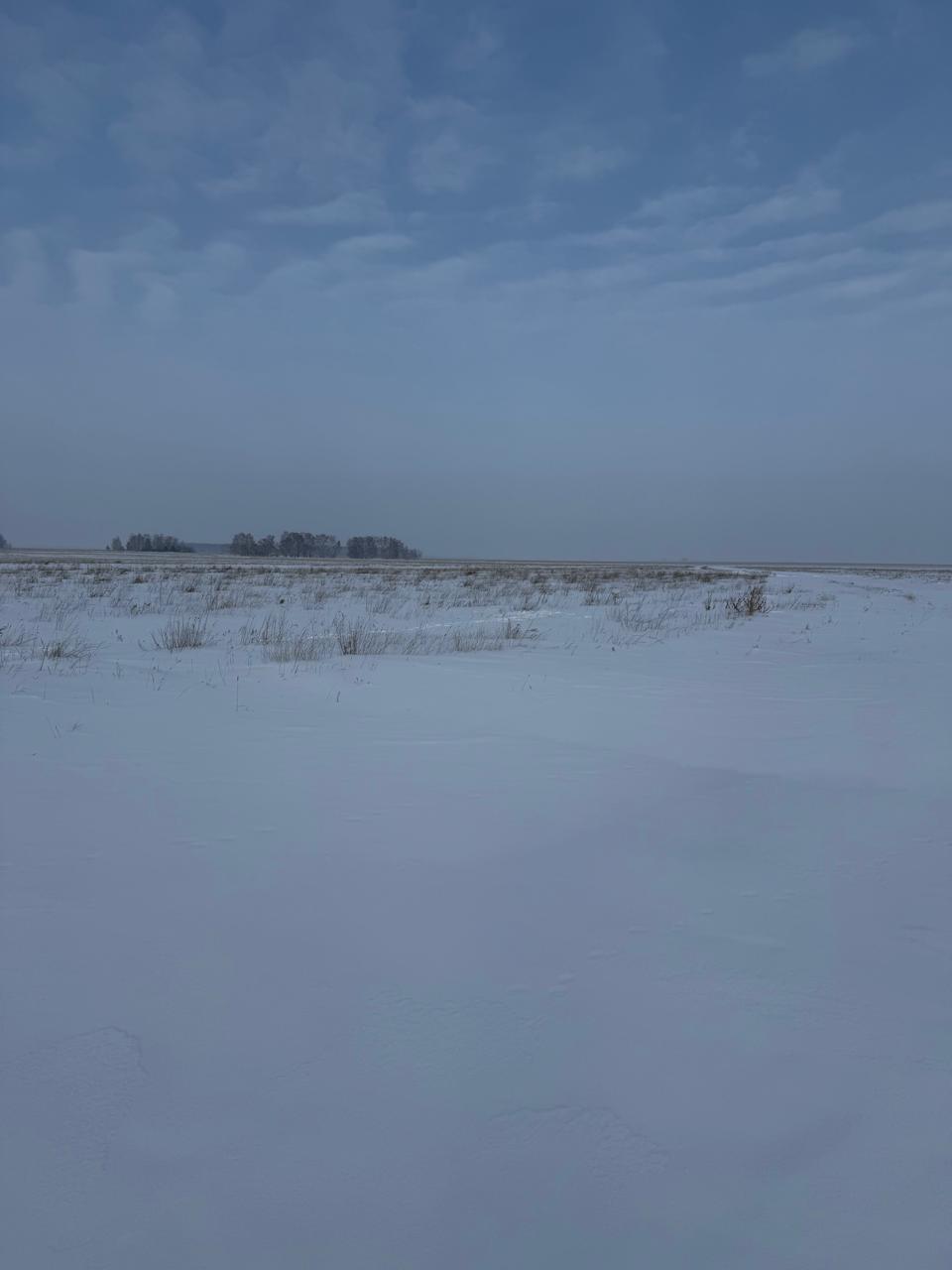 img-3