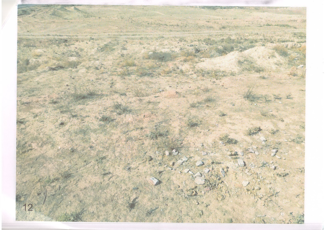 img-2