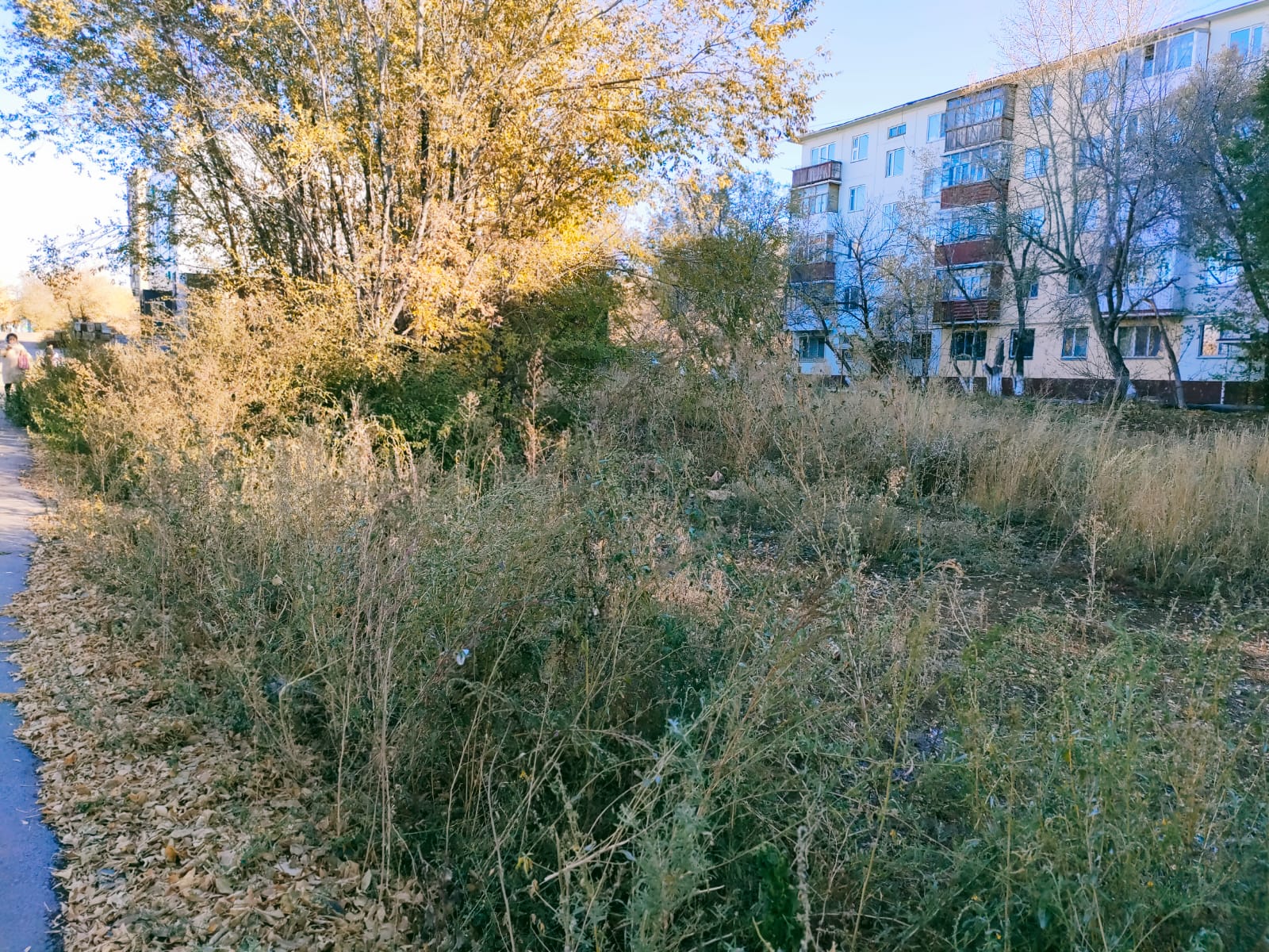 img-1