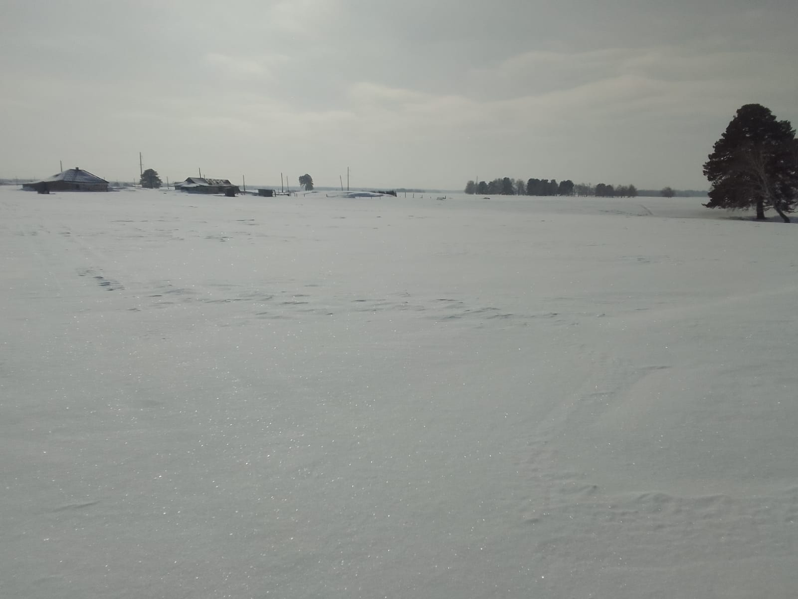 img-3
