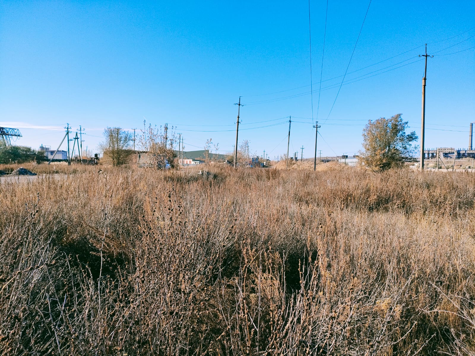 img-5