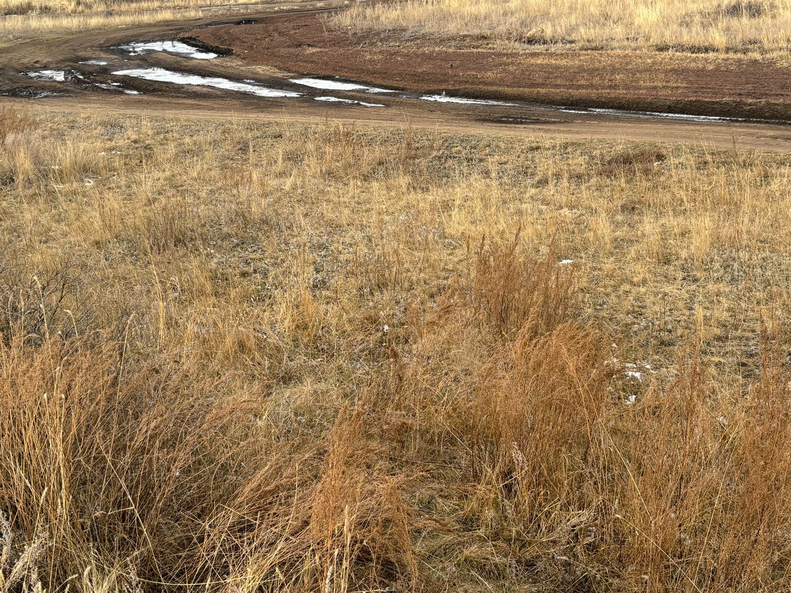 img-2