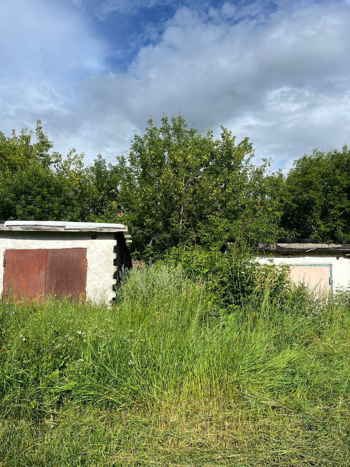 img-0