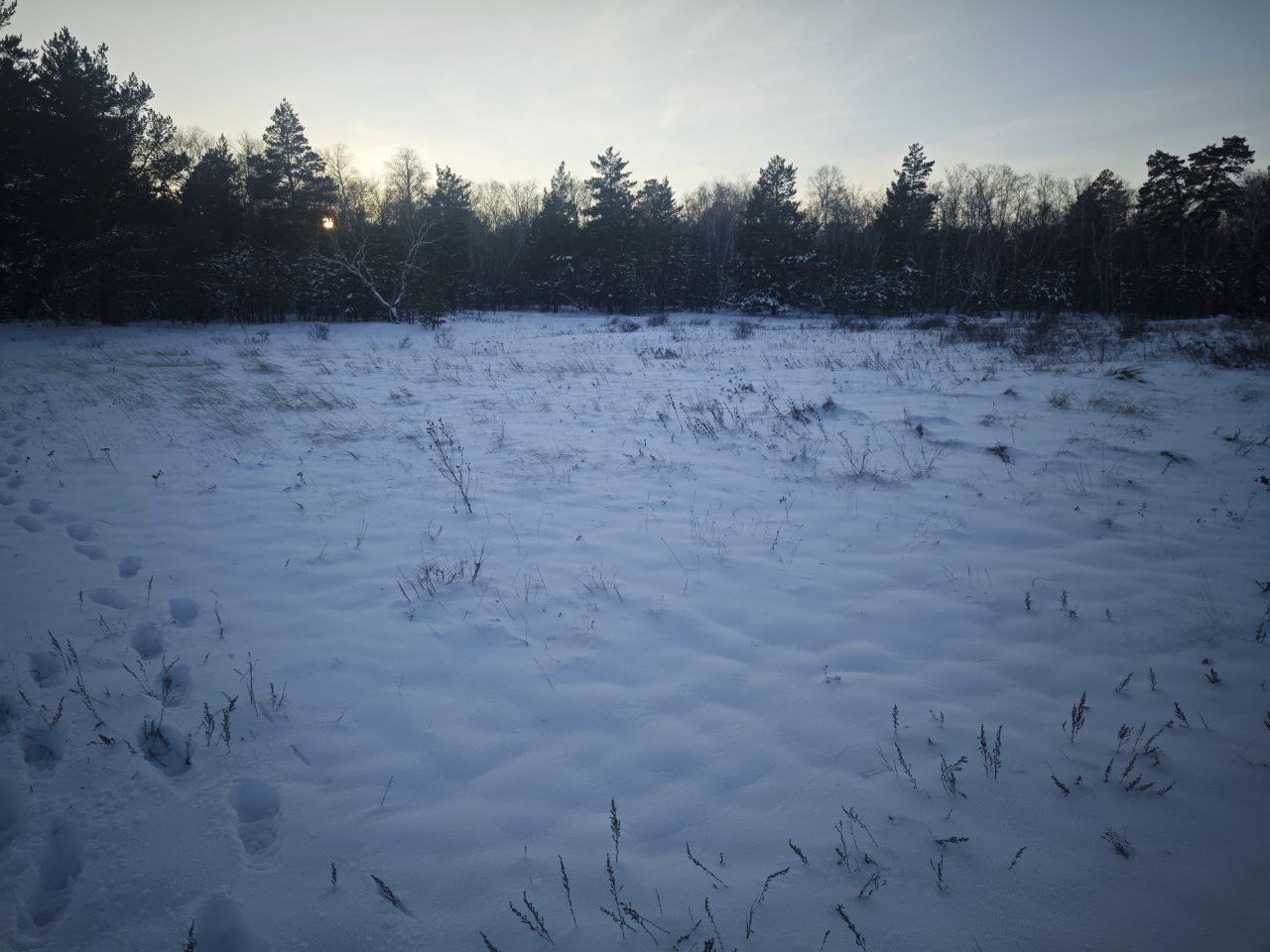 img-3