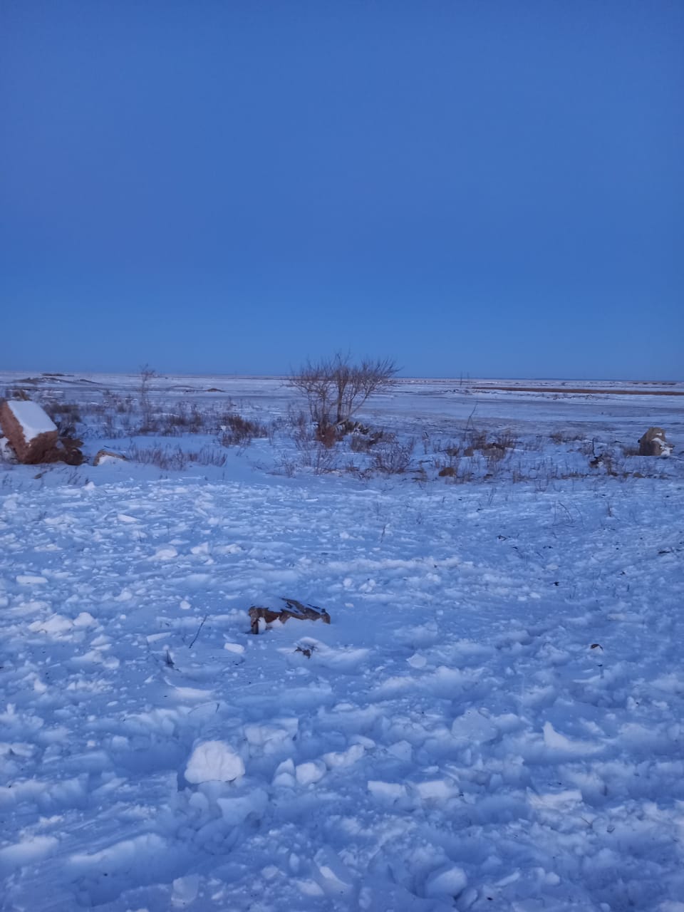 img-3