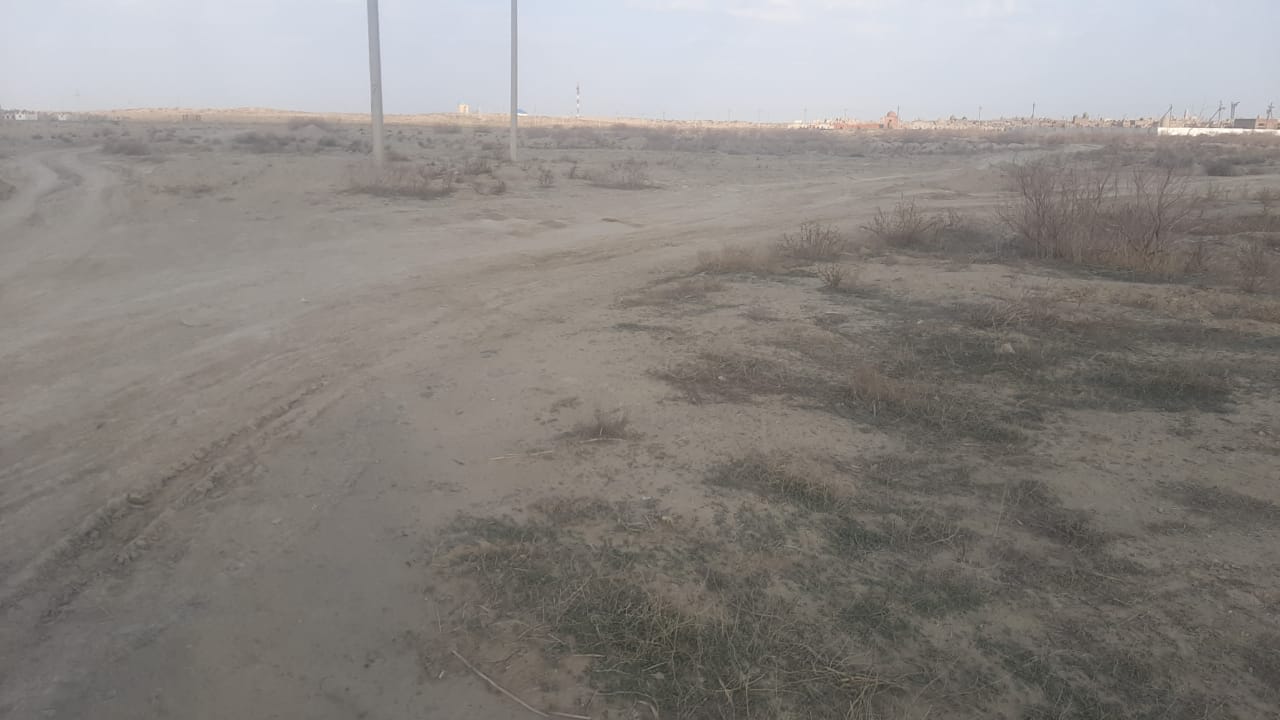 img-2