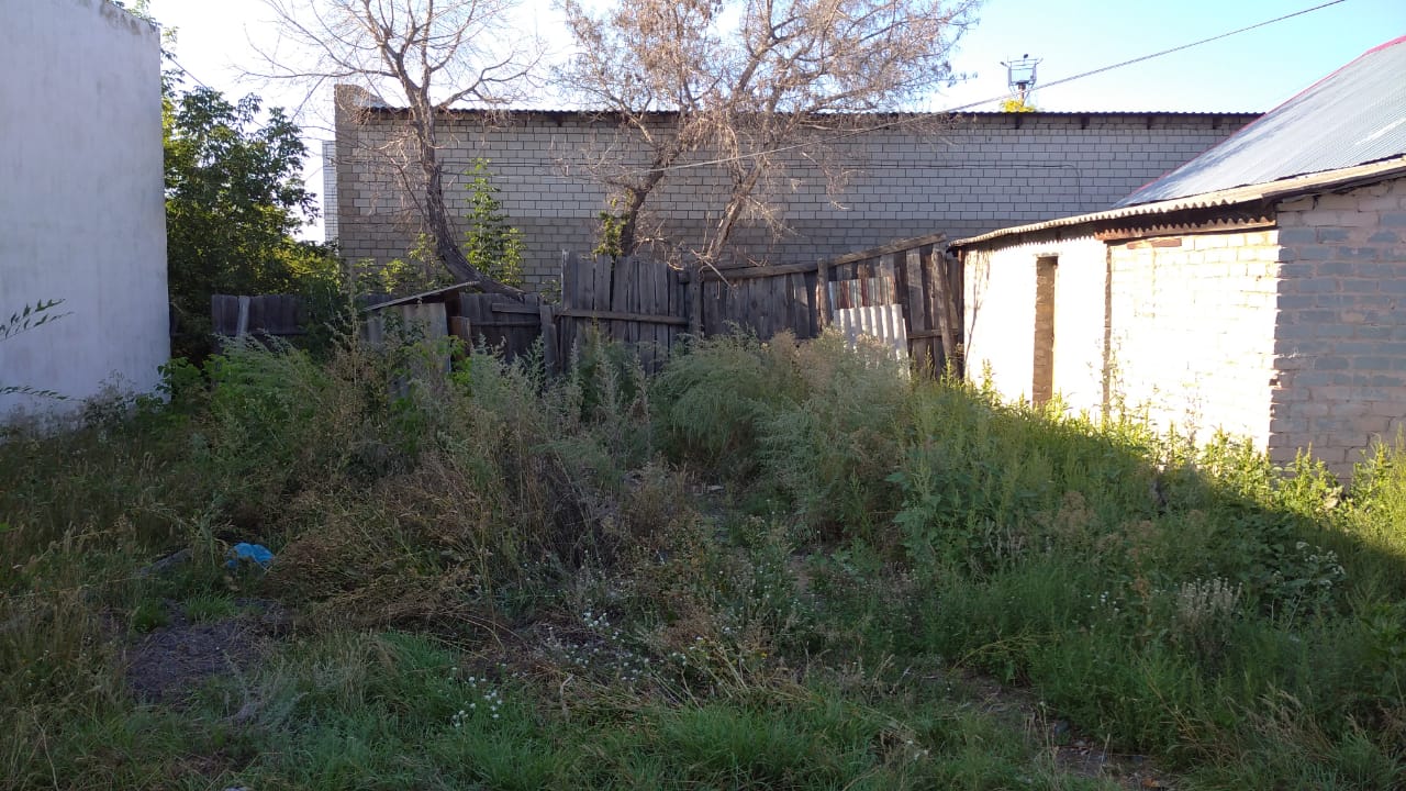 img-3
