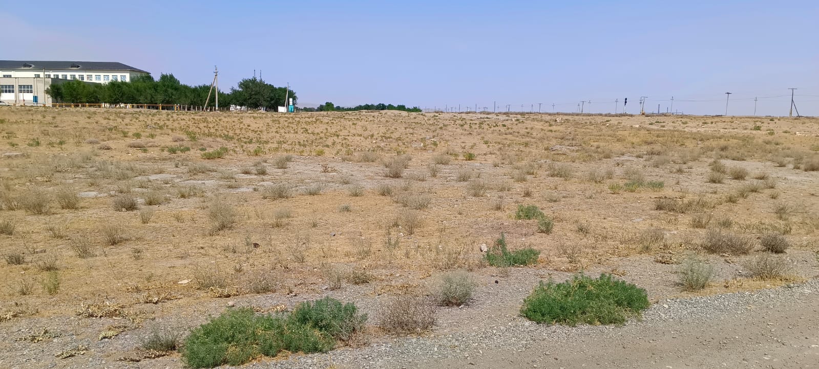 img-1