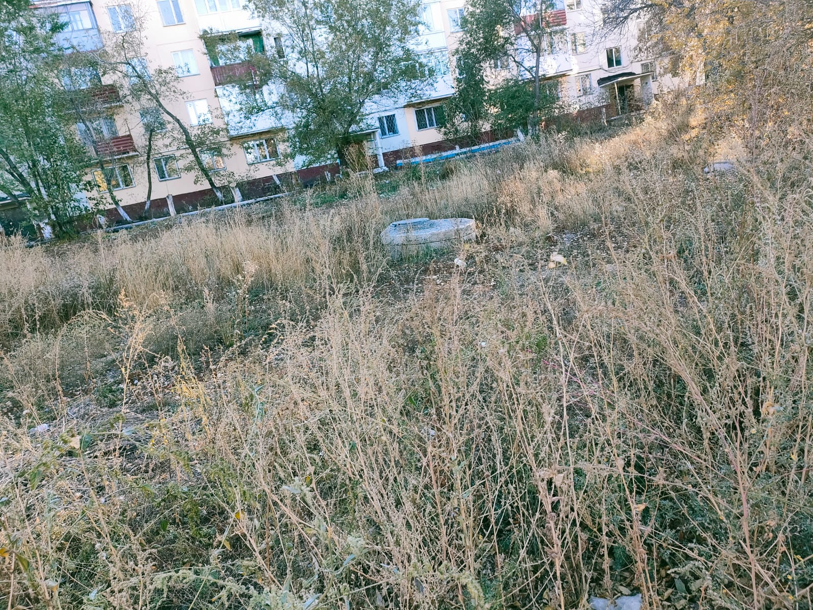 img-2