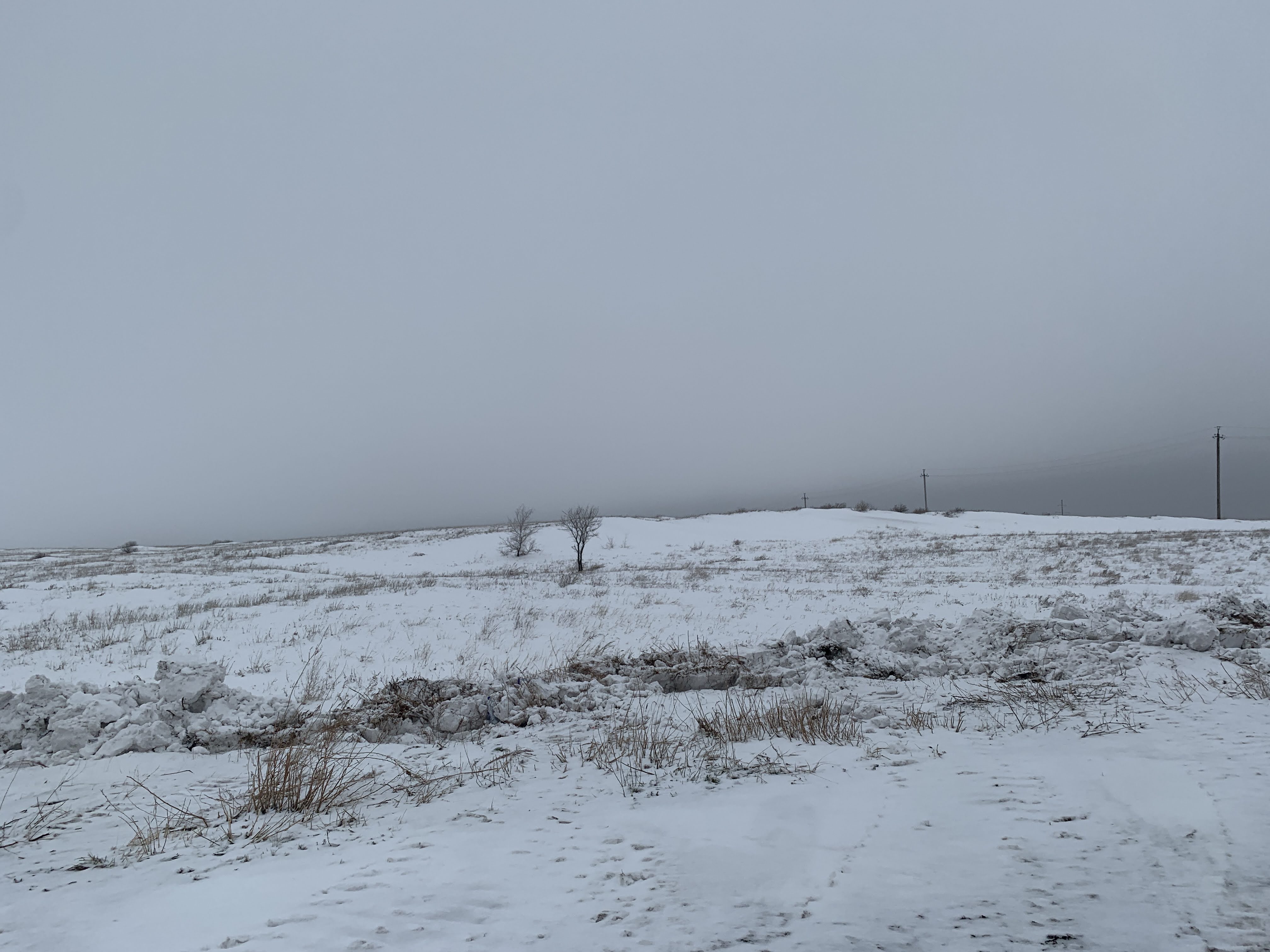 img-5